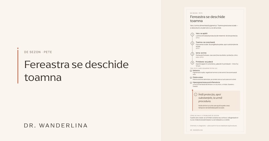 Planșă ilustrată: Toamna e sezonul petelor: de ce acum tratăm ce a lăsat vara